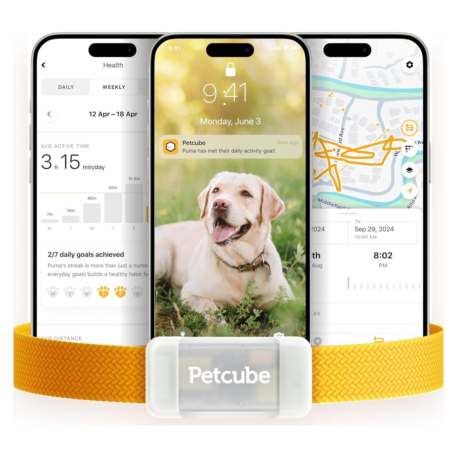 Rastreador GPS Petcube para perros - Monitoreo 24/7, Impermeable