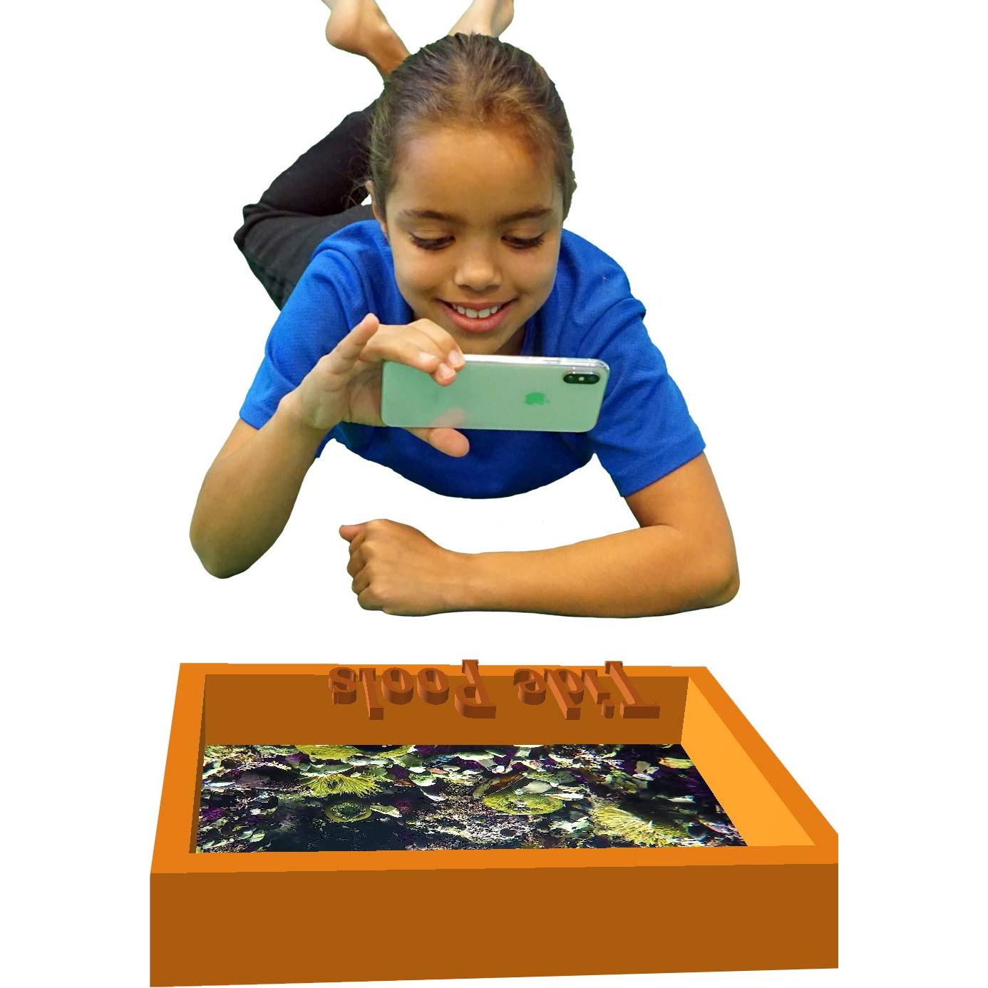 Tide Pools: An Augmented Reality Book