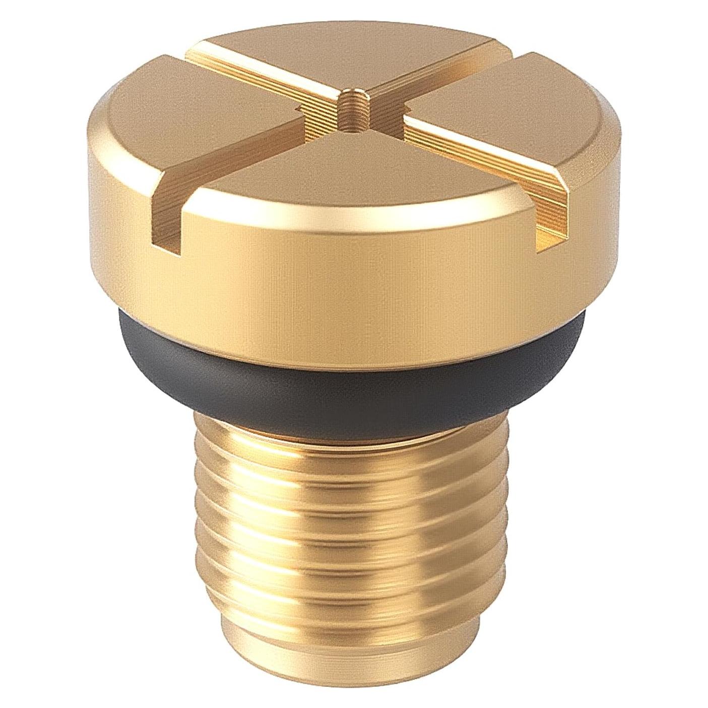 Tornillo de purga refrigerante BMW amavoler Lc999-1347-1348