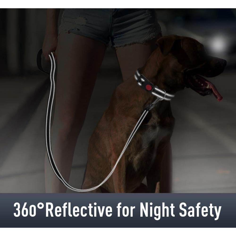 Collar para Perros Erbine Mediano Reflectante con Soporte AirTag