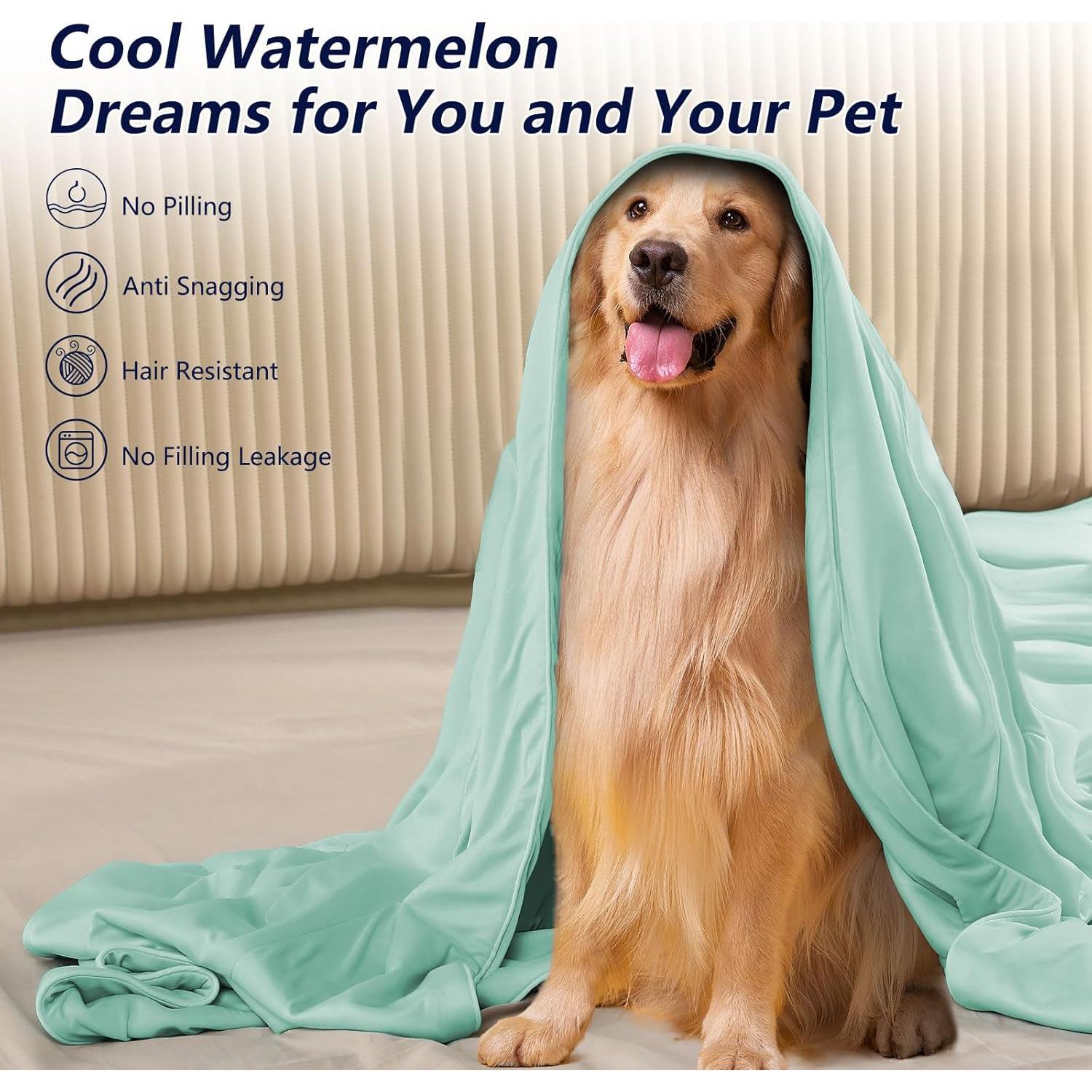 Edredón Refrigerante Jiaao Queen 228.6x228.6cm Verde