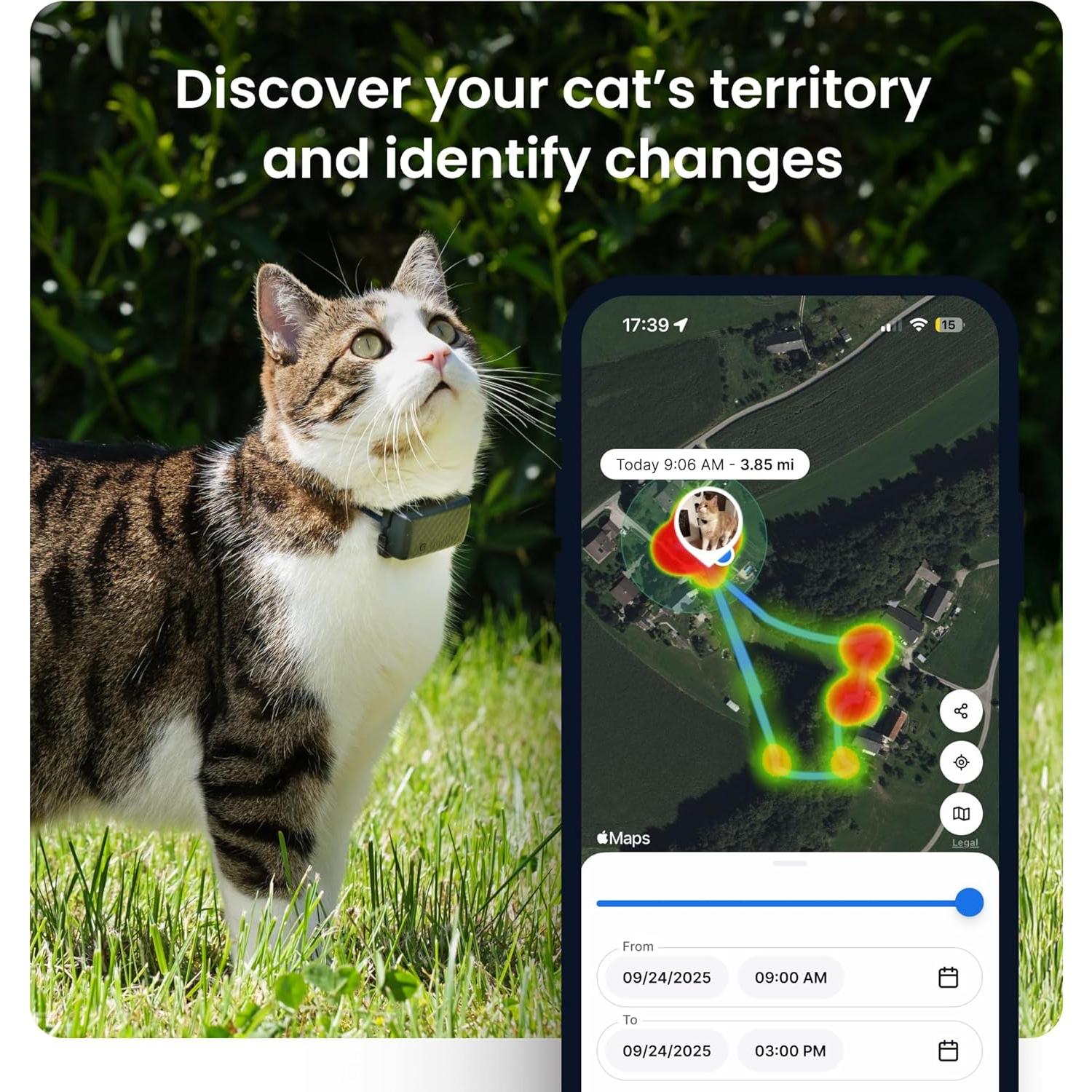 Rastreador GPS Tractive para Gatos de 2.95 kg+ | Azul