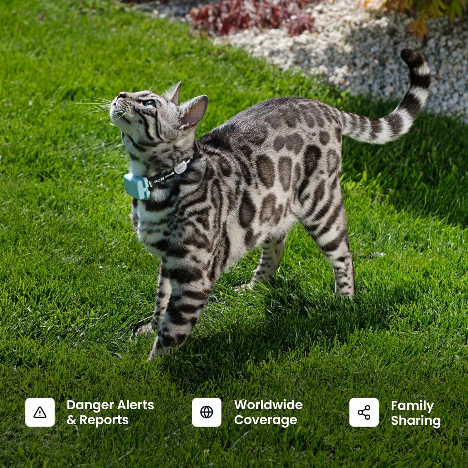 Rastreador GPS Tractive para Gatos de 2.95 kg+ | Azul