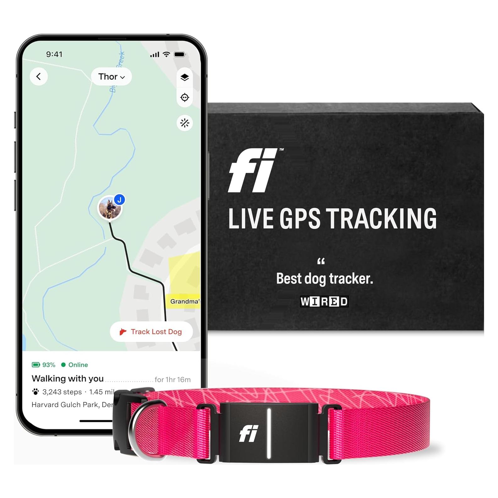 Collar Inteligente Fi Series 3 - GPS y Salud para Perros