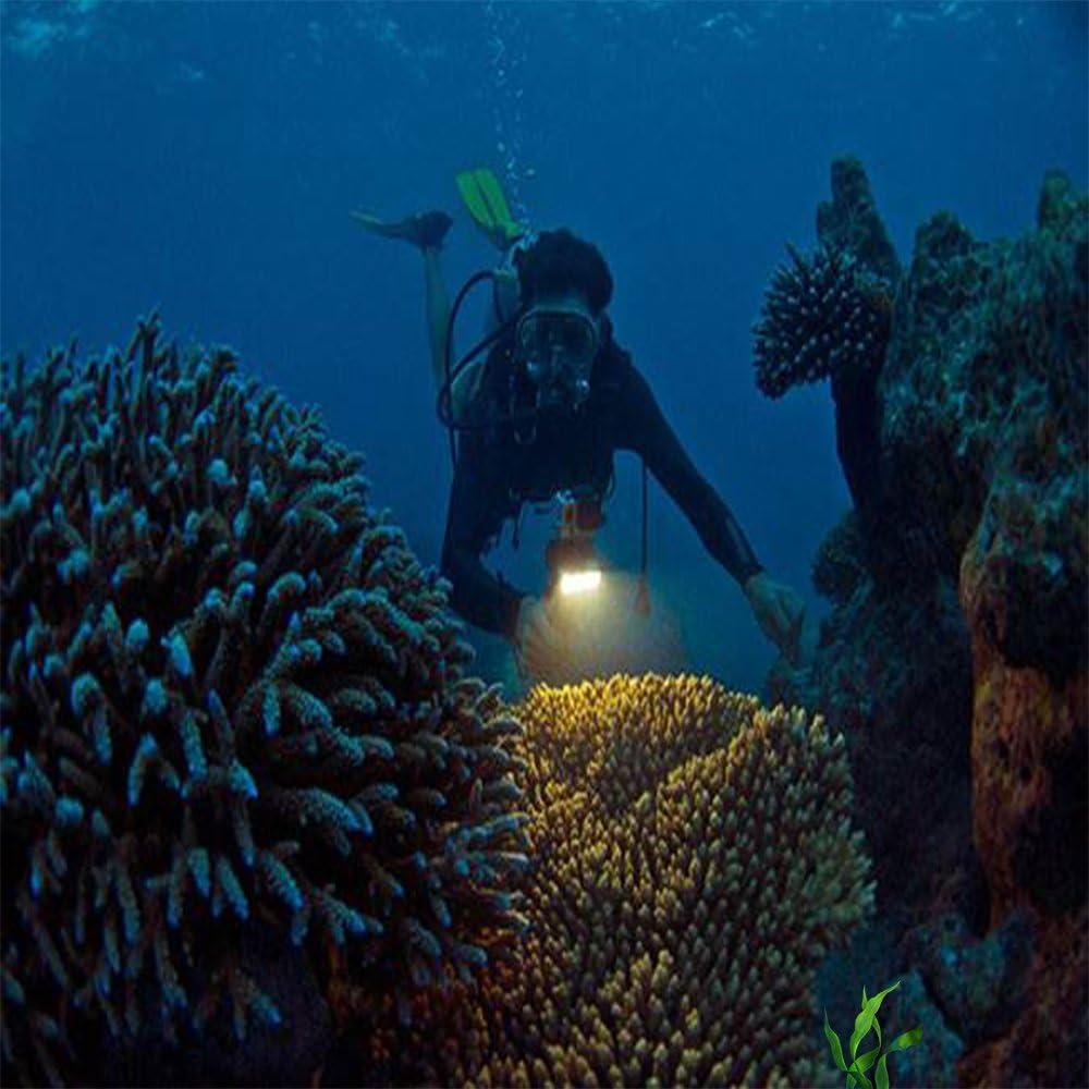 Luz LED Submarina Suptig RSX-220 45m para GoPro