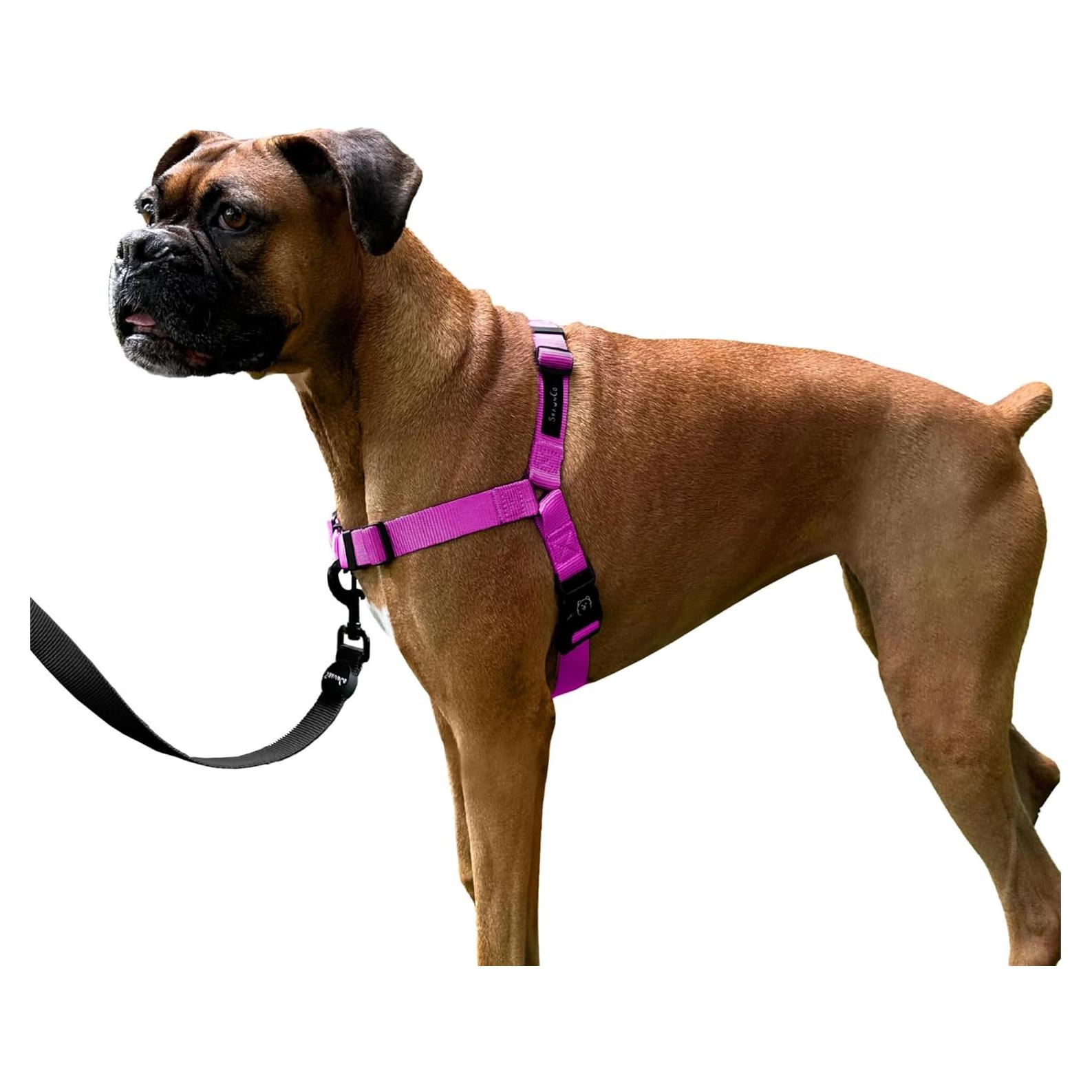 Arnés para Perros ShawnCo Dream Walk - Ajustable Orquídea M