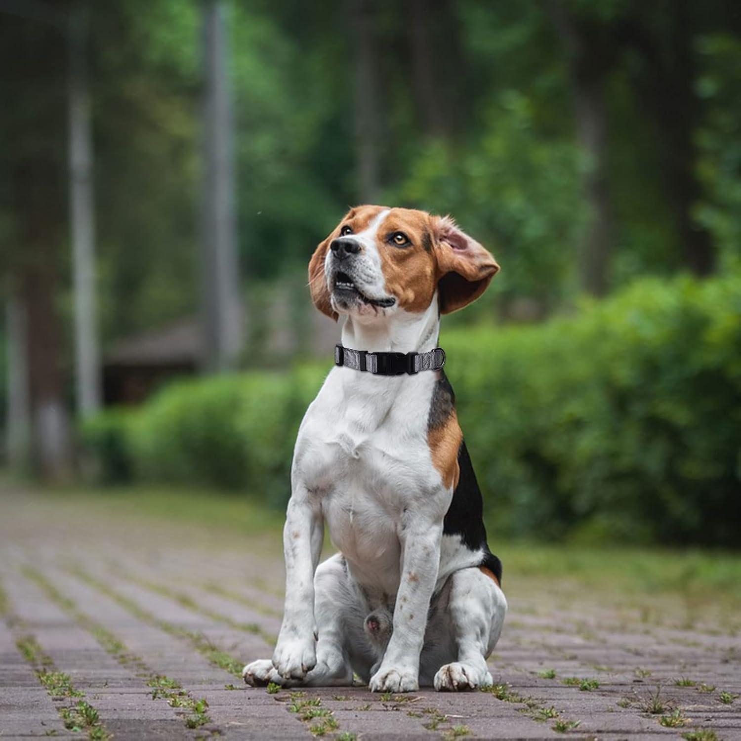 Collar de Nylon Grueso AUDWUD Ajustable para Perros y Gatos