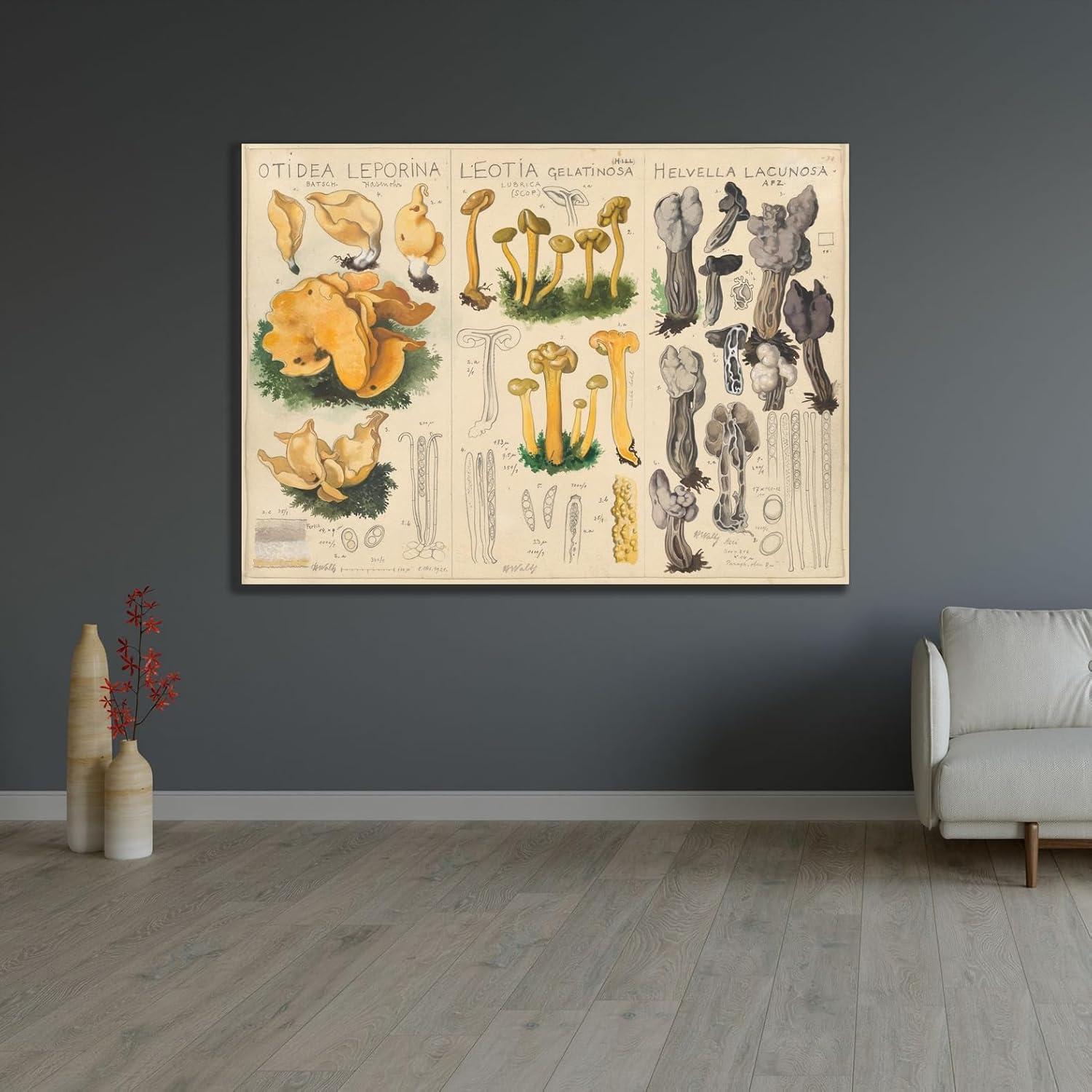 Póster de Arte Giclee Hans Walty - Otidea leporina, 60x44 cm