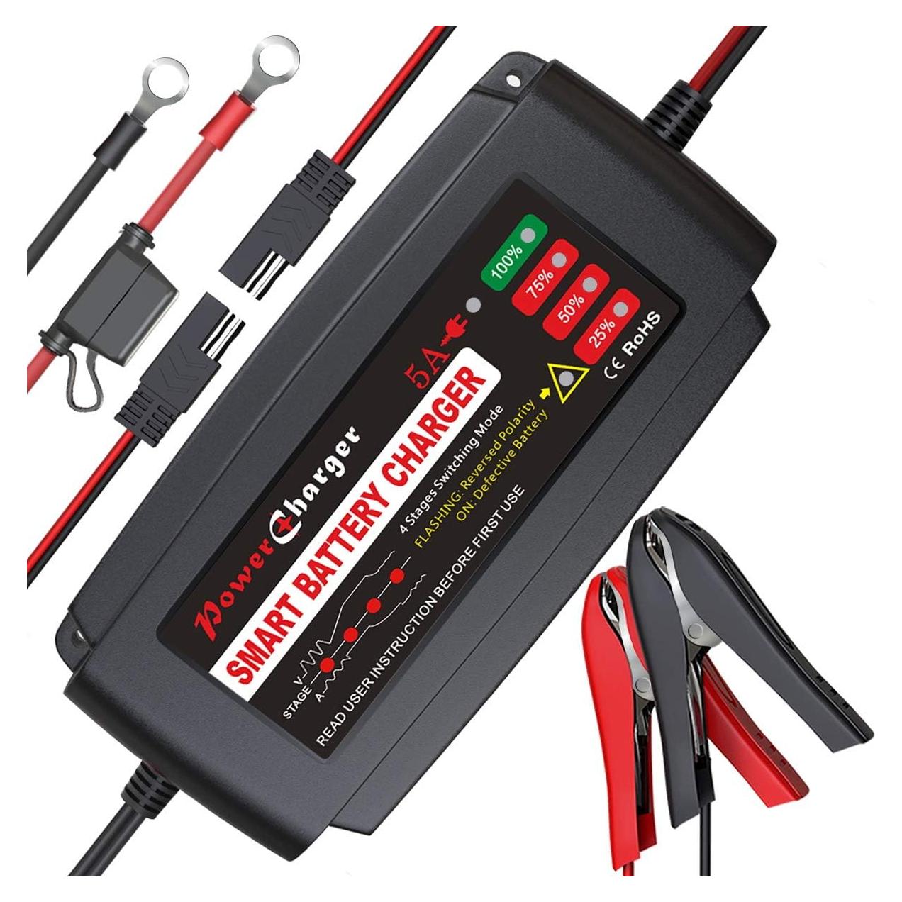 Cargador de Batería BMK 12V 5A Portátil con Clips