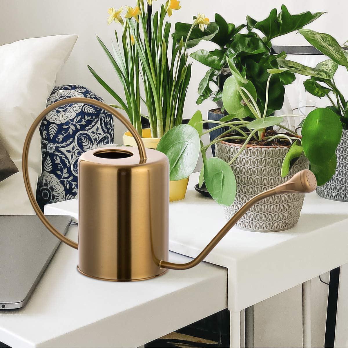 Regadera de Acero Inoxidable Yowon 1.89L Dorada con Pico Largo