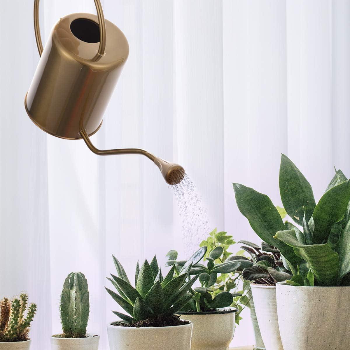 Regadera de Acero Inoxidable Yowon 1.89L Dorada con Pico Largo