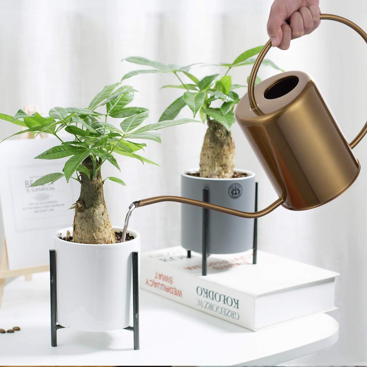 Regadera de Acero Inoxidable Yowon 1.89L Dorada con Pico Largo