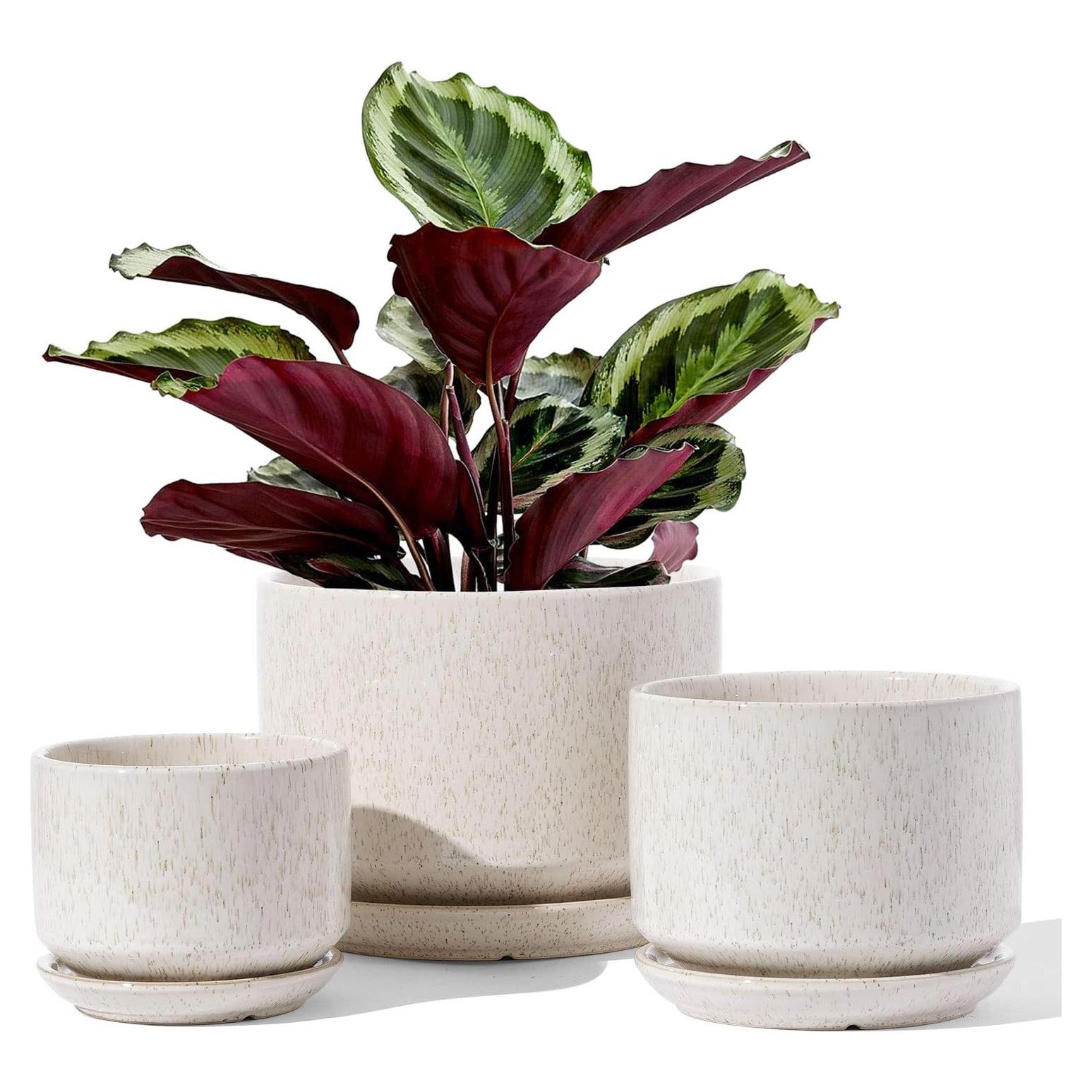 Macetas de Cerámica LE TAUCI Set de 3 con Drenaje Beige