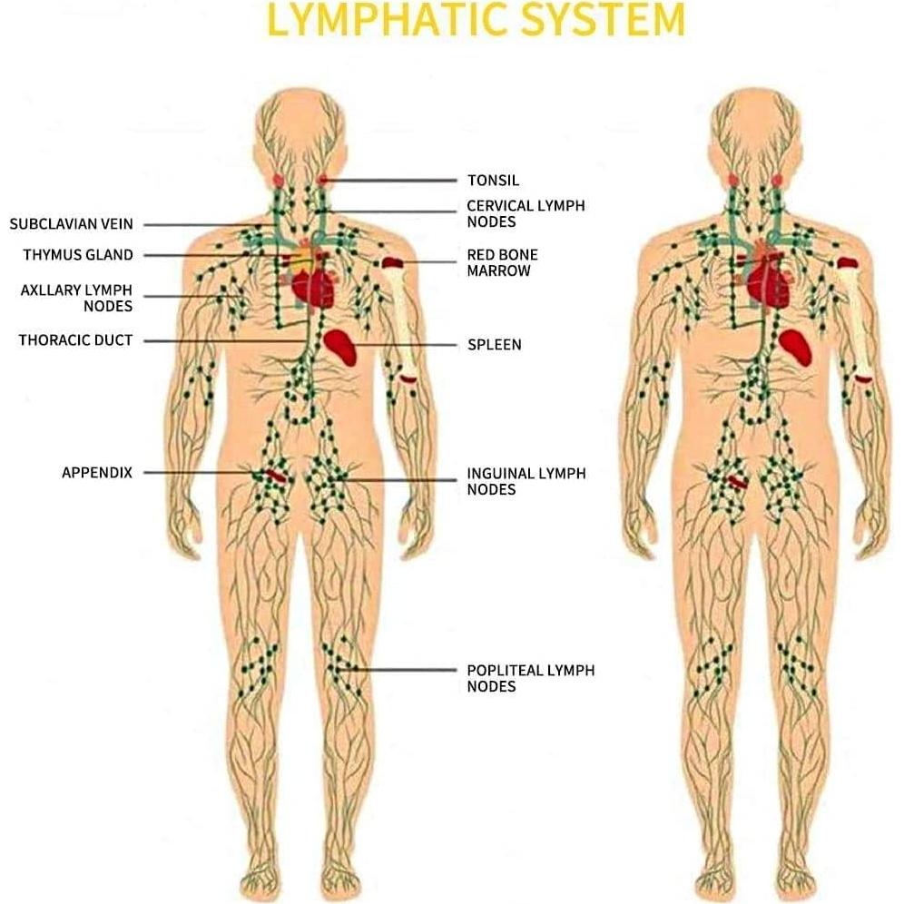 Aceite de Masaje de Jengibre CMWGKBC 130ml Hidratante