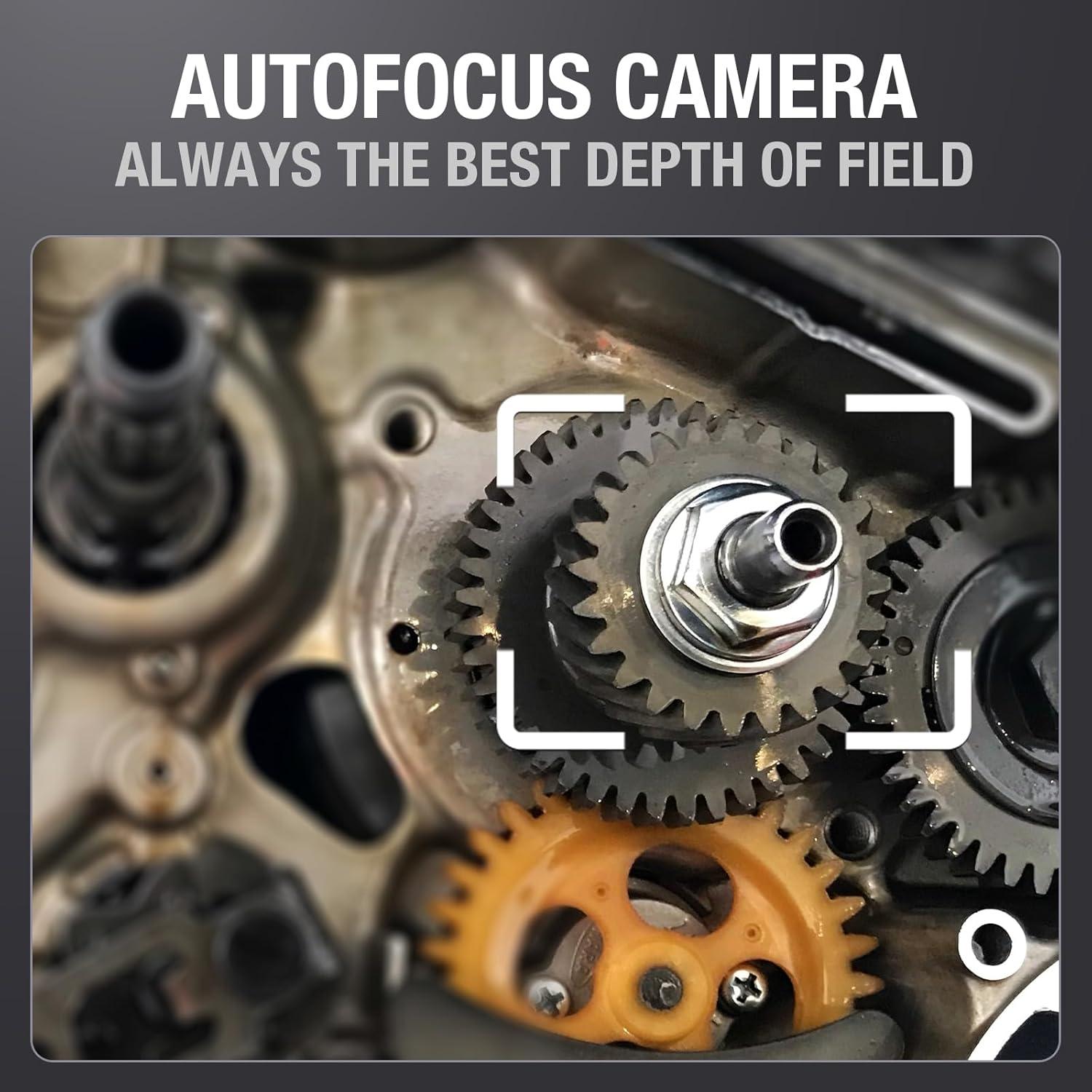 Borescopio Articulado Teslong TD500, 5" LCD, IP67, 32GB