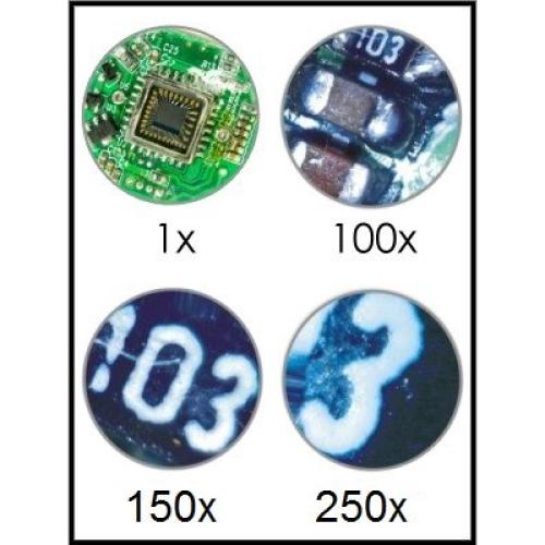 Endoscopio Digital USB Vividia 250x con Lente Impermeable