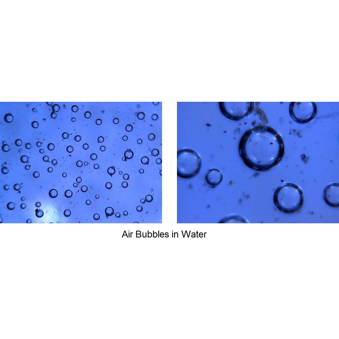 Endoscopio Digital USB Vividia 250x con Lente Impermeable