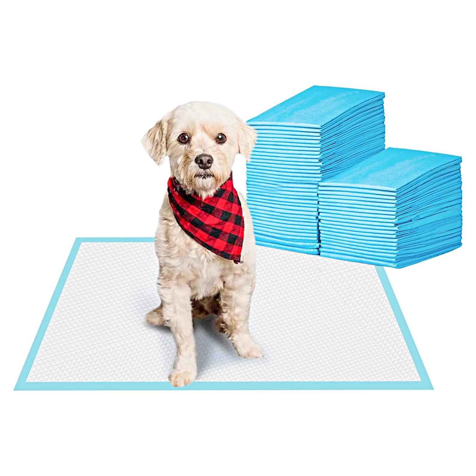 Alfombrillas Absorbentes para Mascotas Bestle 55.9x55.9 cm