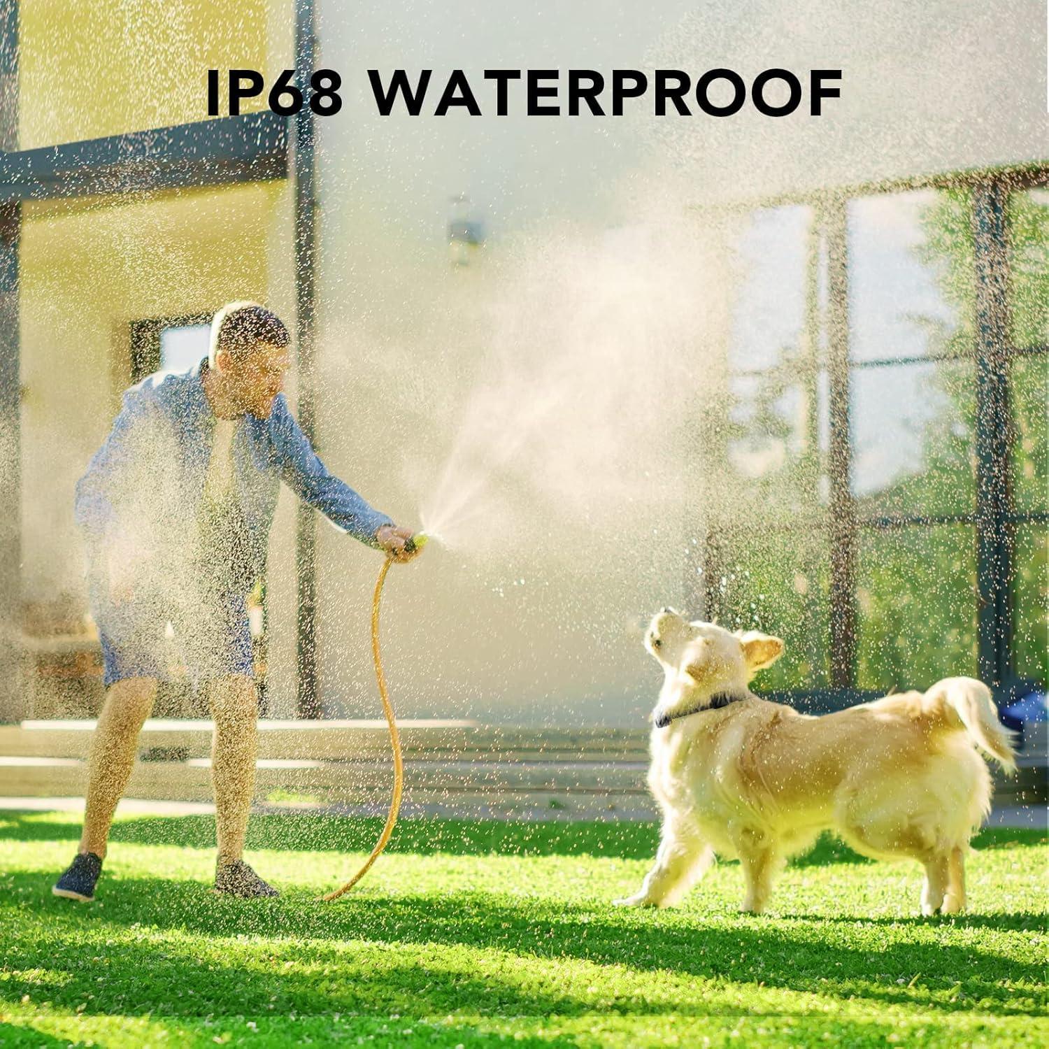 Collar de Entrenamiento Dog Care TC01 para 1 Perro - Control Remoto 549m