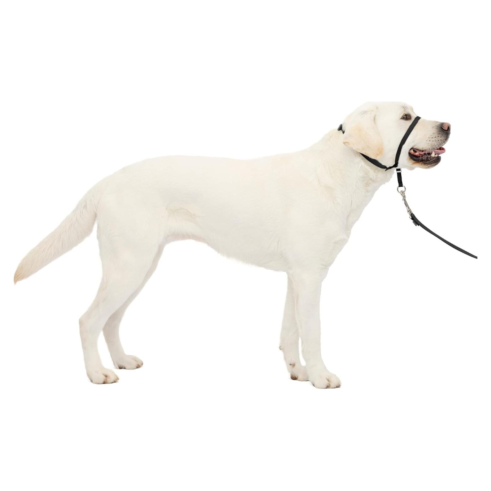 Collar de Cabeza PetSafe Gentle Leader No-Tirones Grande Negro