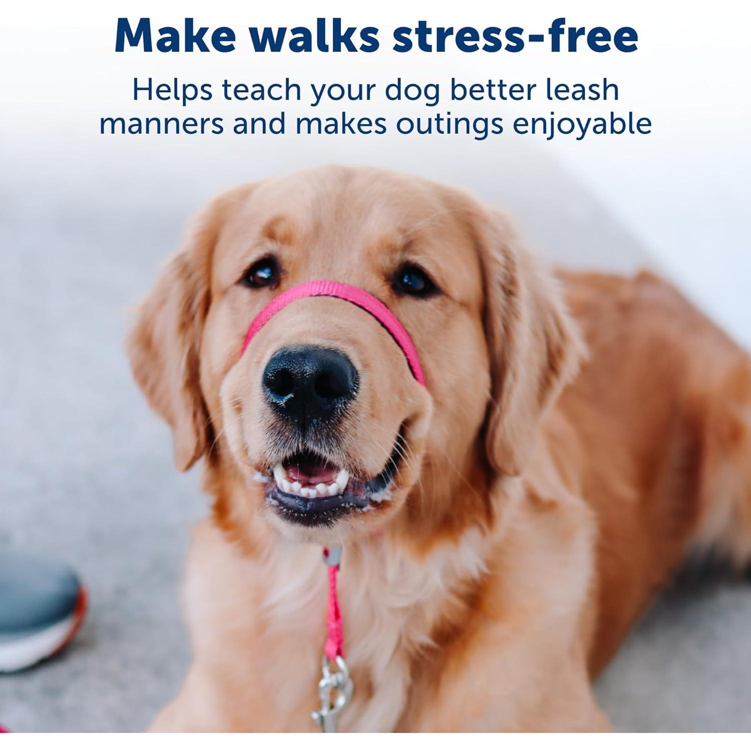 Collar de Cabeza PetSafe Gentle Leader No-Tirones Grande Negro