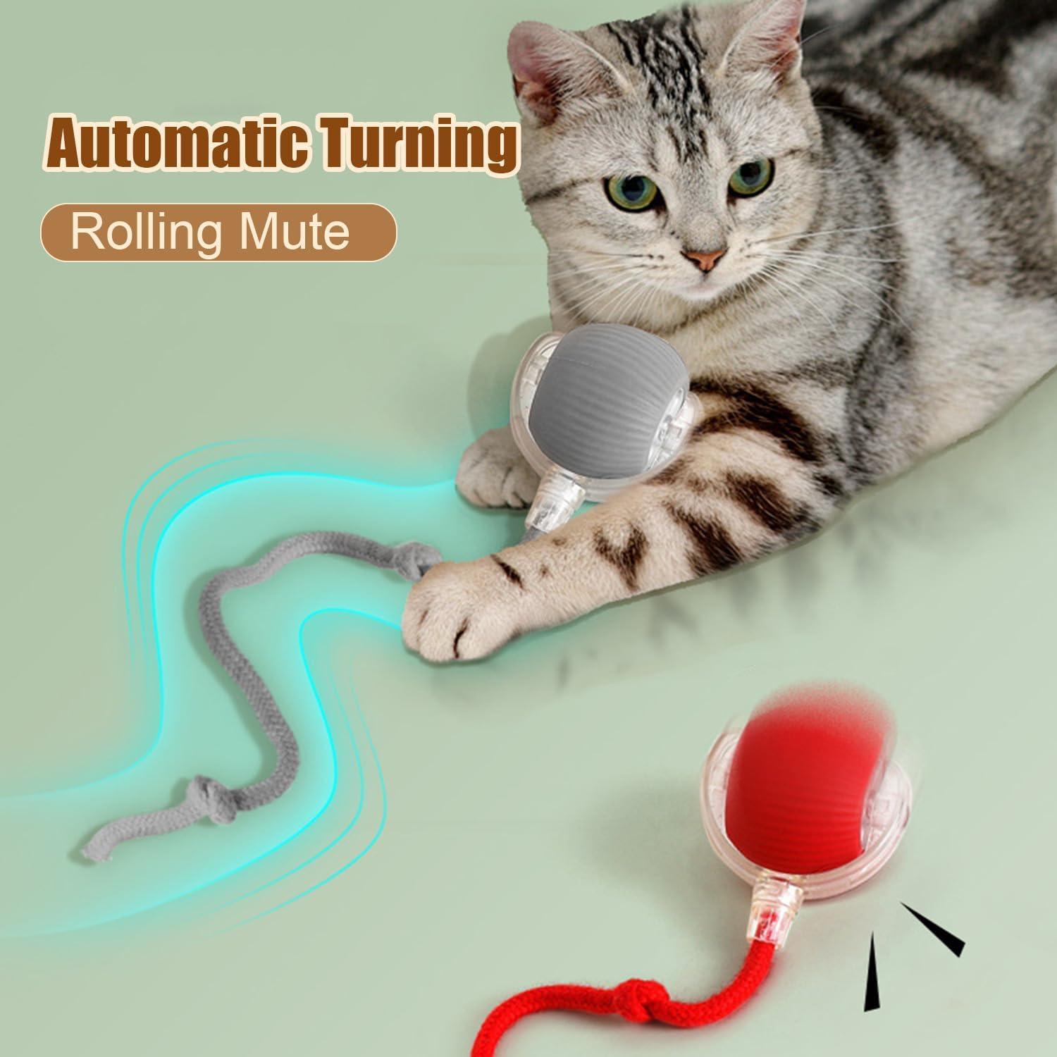 2PC Interactive Cat Toys,360 ° Fully Automatic Dogs & Cats Smart Rolling Ball,Durable and Rechargeable (Green)