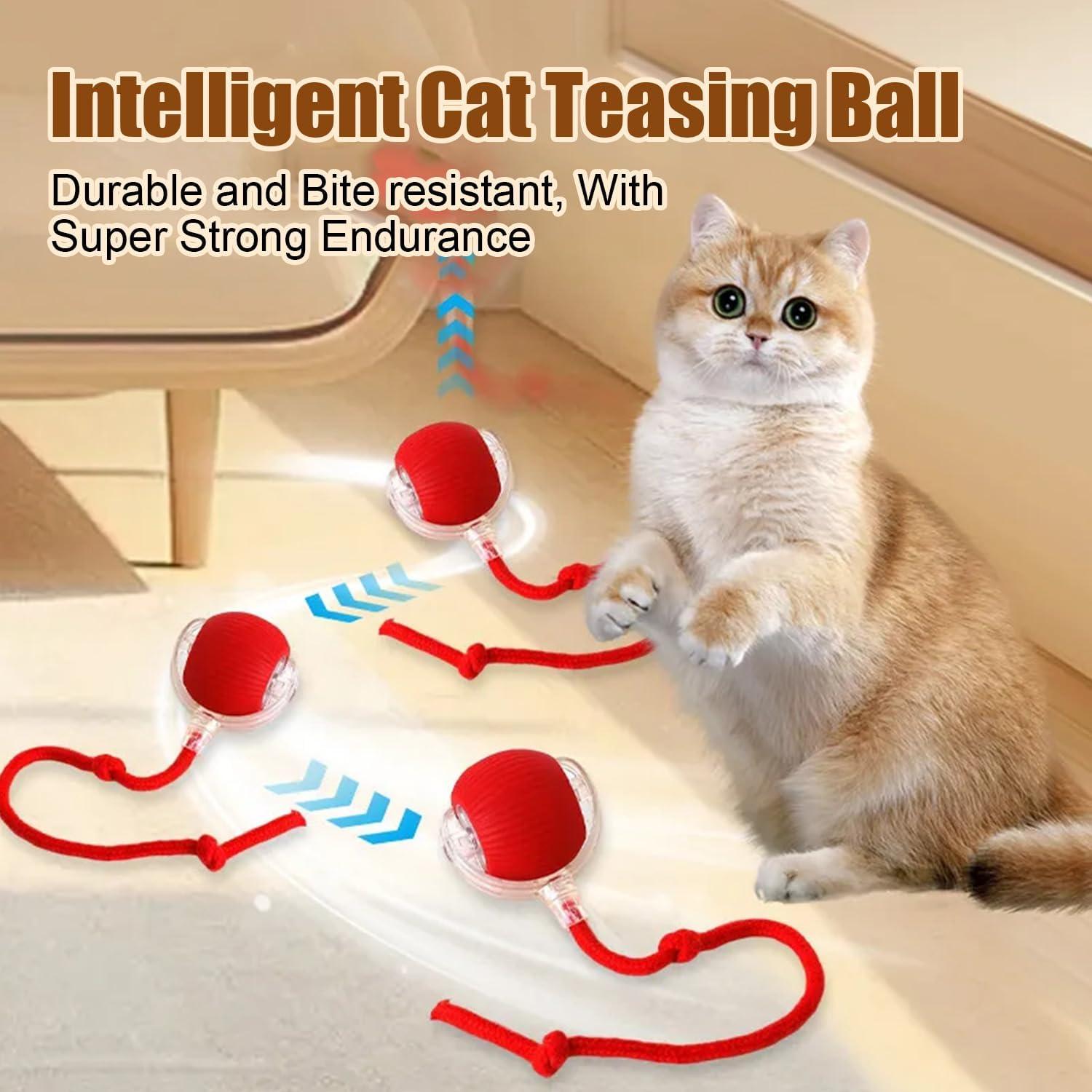 2PC Interactive Cat Toys,360 ° Fully Automatic Dogs & Cats Smart Rolling Ball,Durable and Rechargeable (Green)