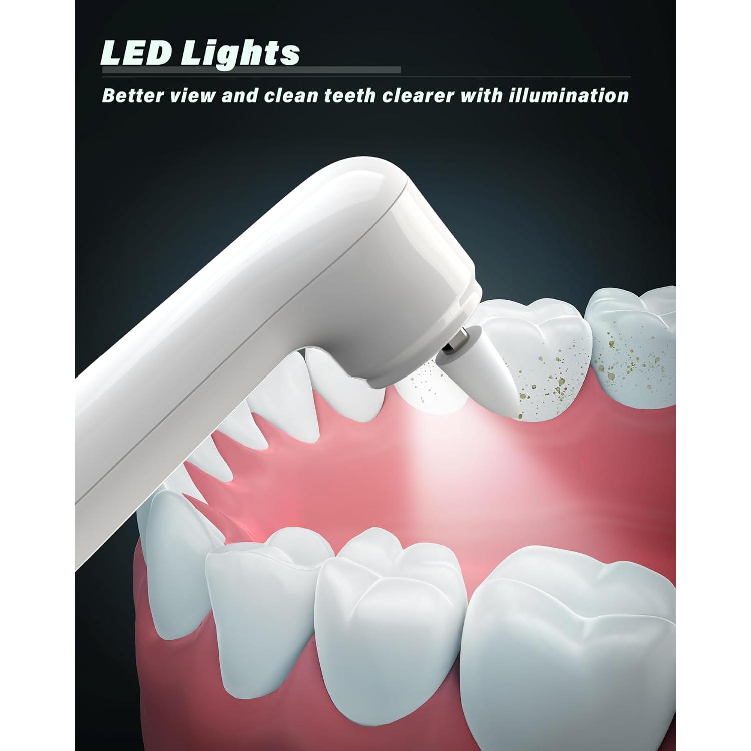 Pulidor Dental Eléctrico Zahnheld WD-JY-A02 con 5 Cabezas