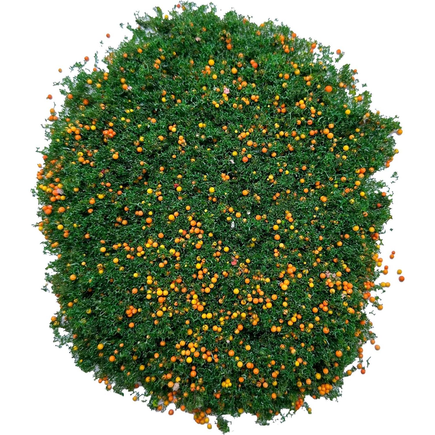 Kit de Árboles Miniatura Cayway 4 Colores para Diorama 20g