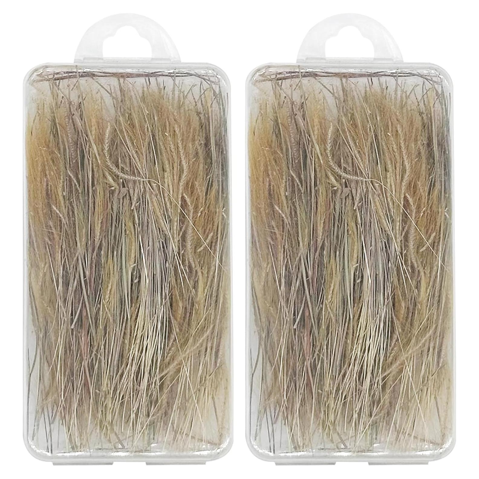 Woohome 2 Cajas Césped Estático Miniatura Trigo para Dioramas
