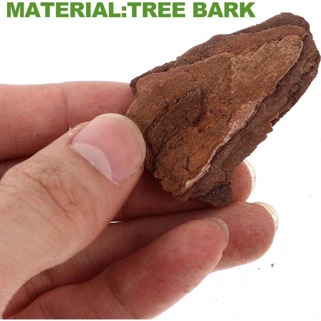 Kit de Diorama COHEALI - Material de Corteza de Árbol 20x12cm