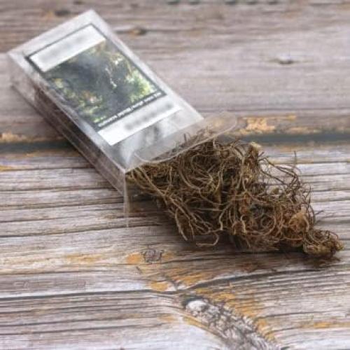 Modelo de Raíz de Vegetación Miniatura Warmtree para Diorama