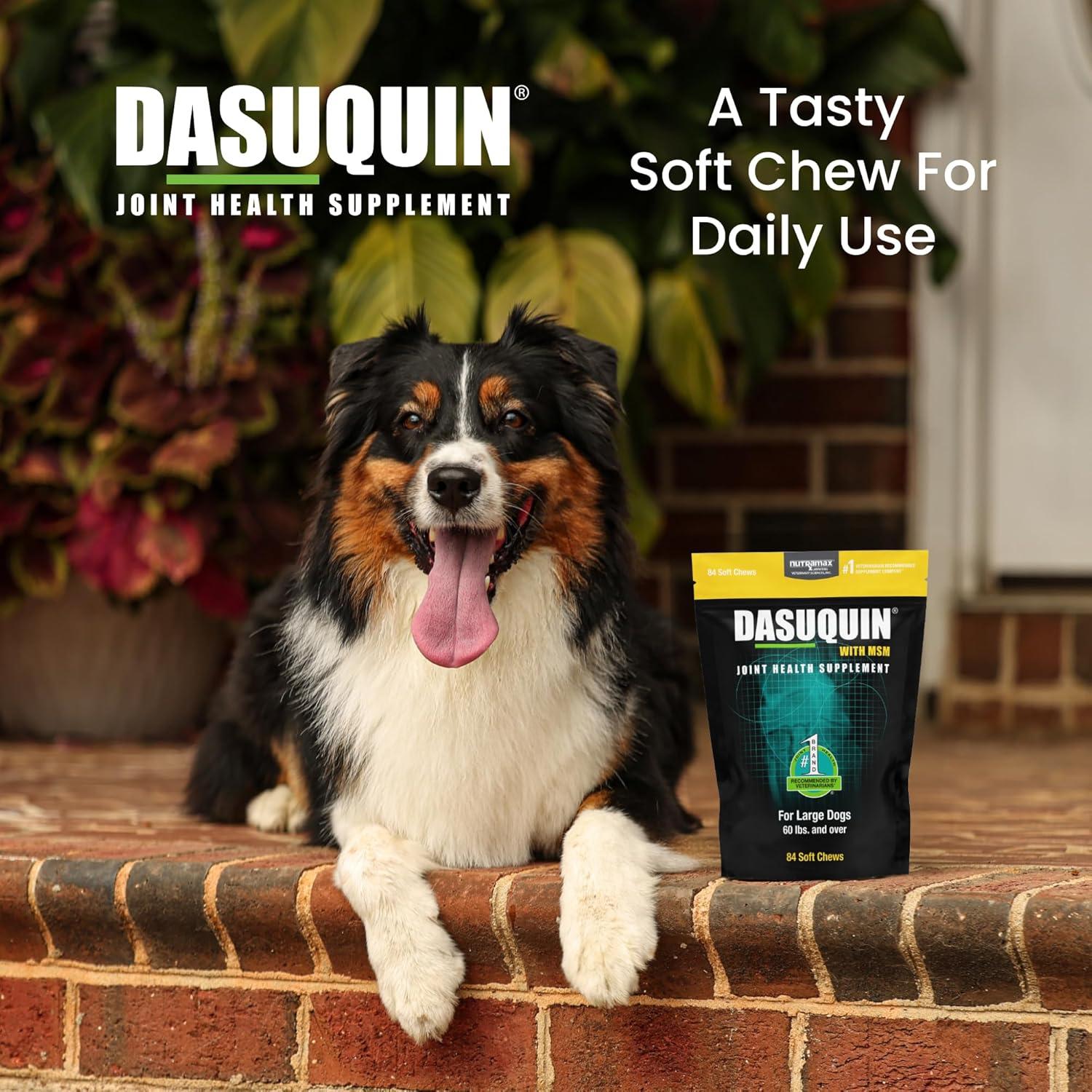 Nutramax Dasuquin MSM Masticables 84 Perros Grandes 0.54kg