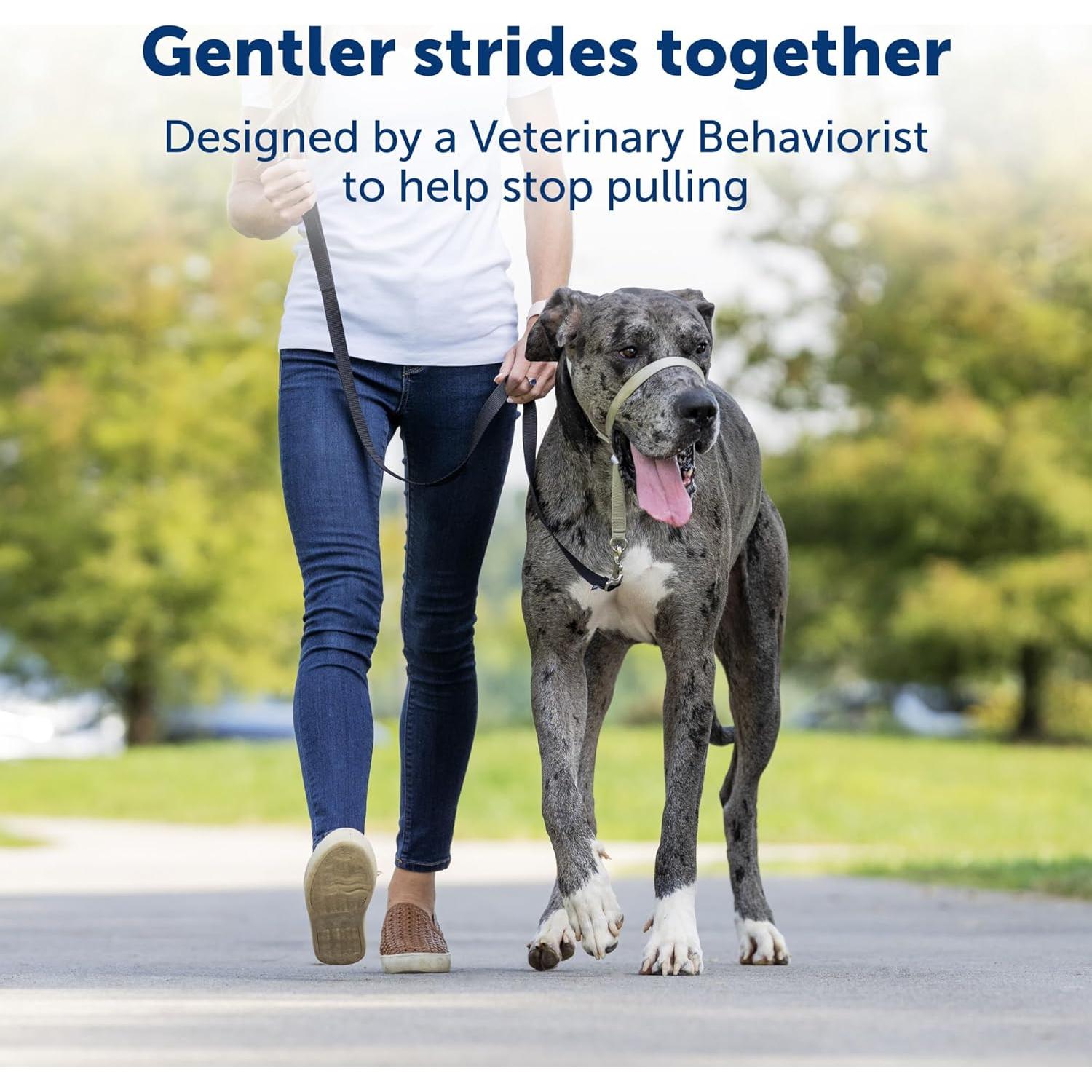 Collar de Cabeza PetSafe Gentle Leader No-Pull Mediano Negro