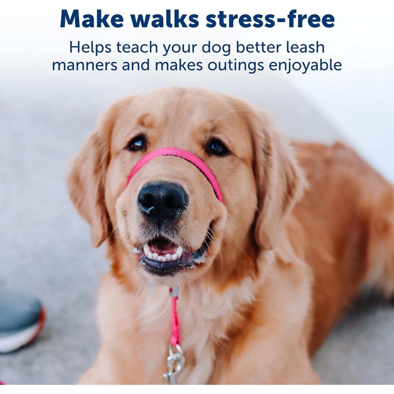 Collar de Cabeza PetSafe Gentle Leader No-Pull Mediano Negro