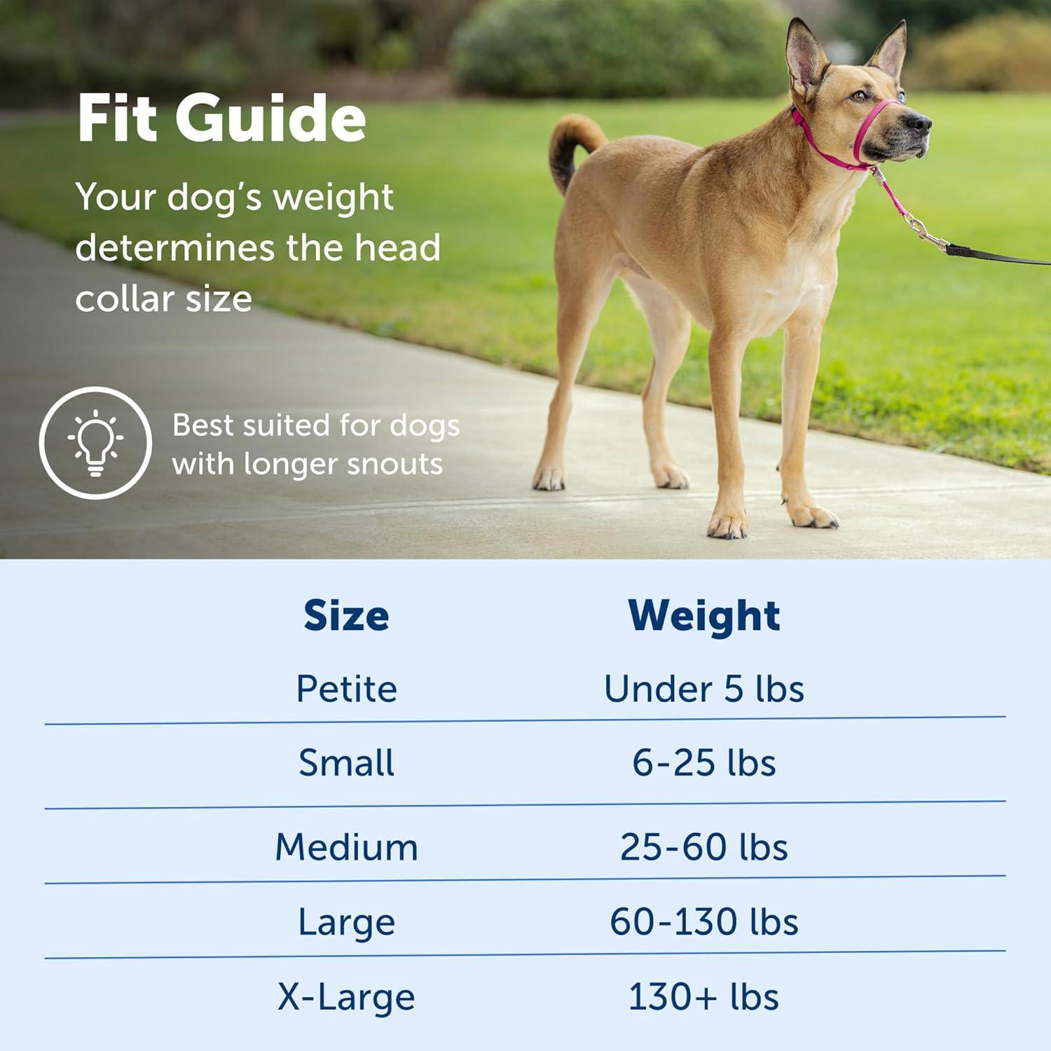 Collar de Cabeza PetSafe Gentle Leader No-Pull Mediano Negro