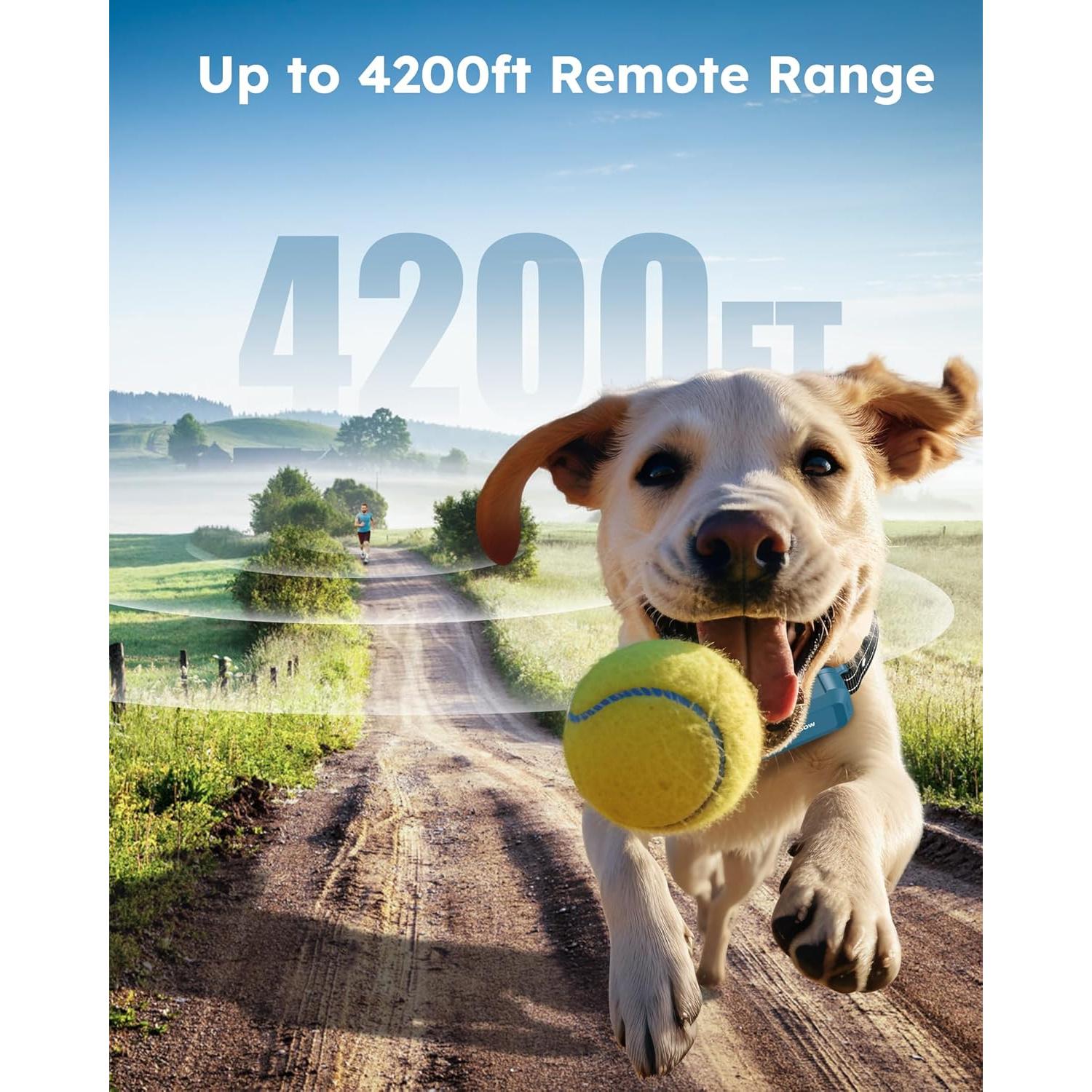 Collar de Entrenamiento Jugbow para Perros 4 Modos IPX7