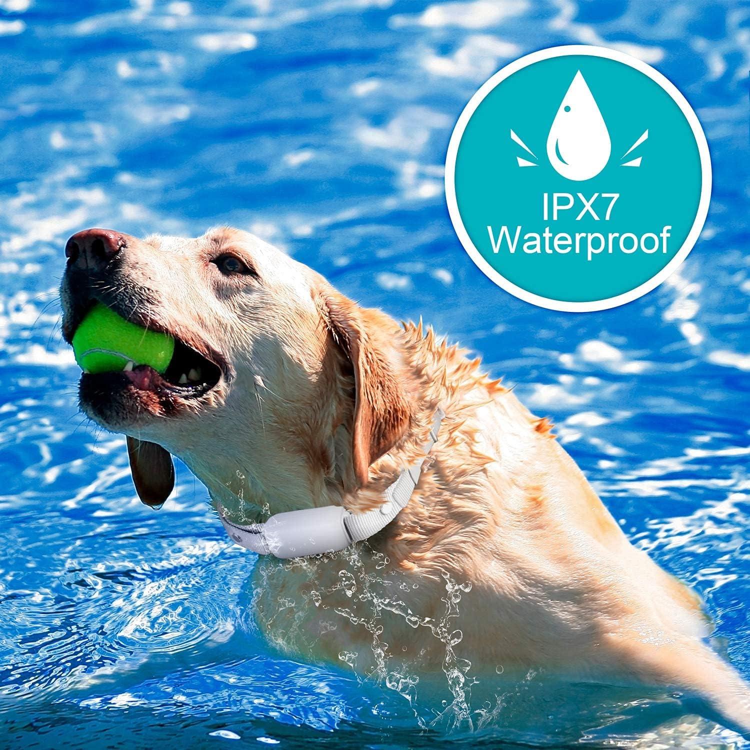 Collar de Choque Bousnic para Perros Recargable Impermeable