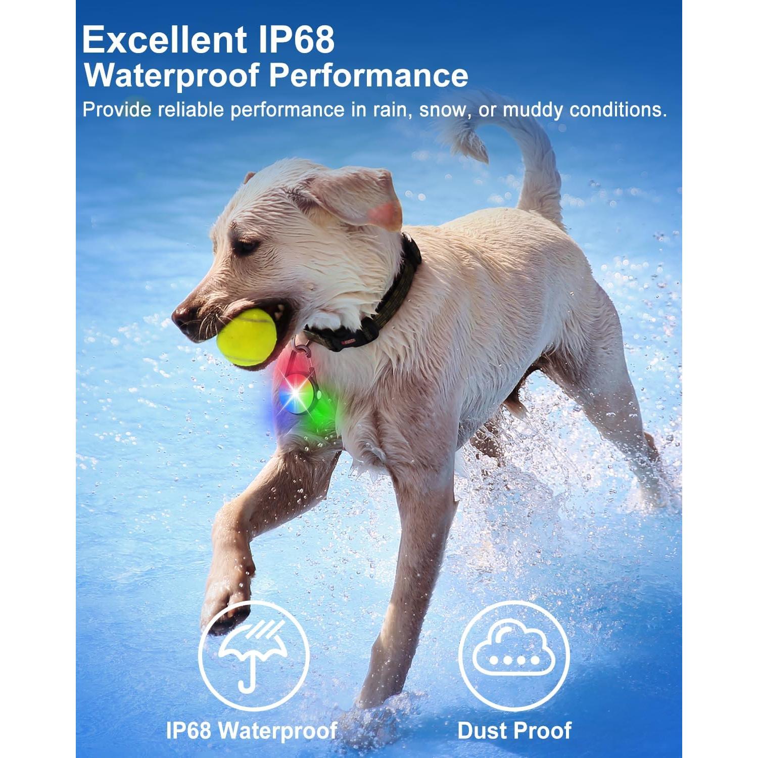 Luces LED para Collar de Perro DAAMENT Recargables Negras