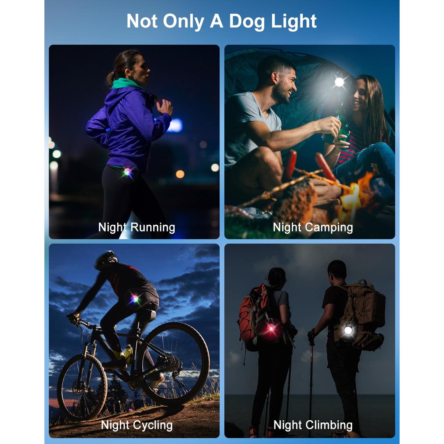 Luces LED para Collar de Perro DAAMENT Recargables Negras