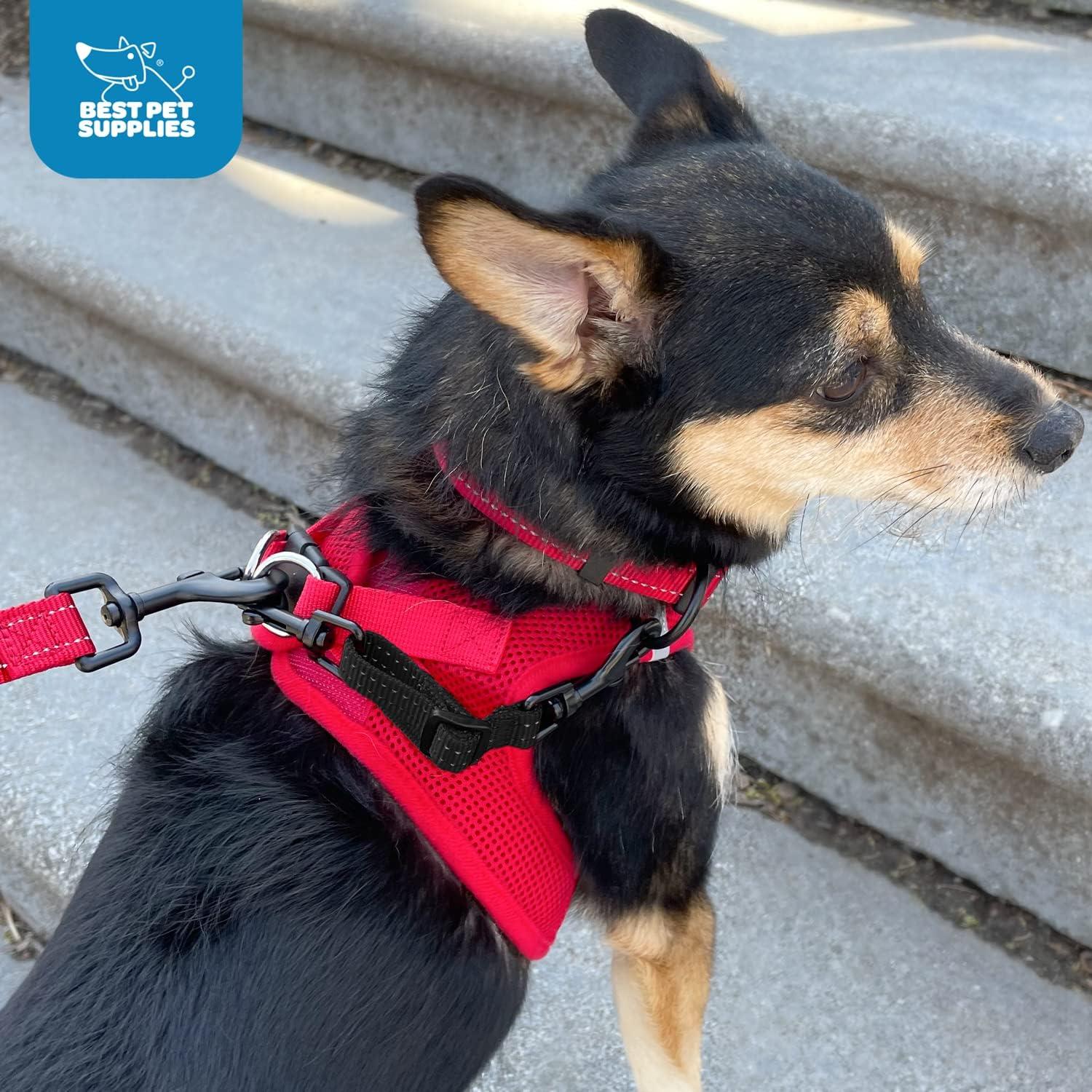 Clip de Seguridad para Collar de Perro Best Pet Supplies