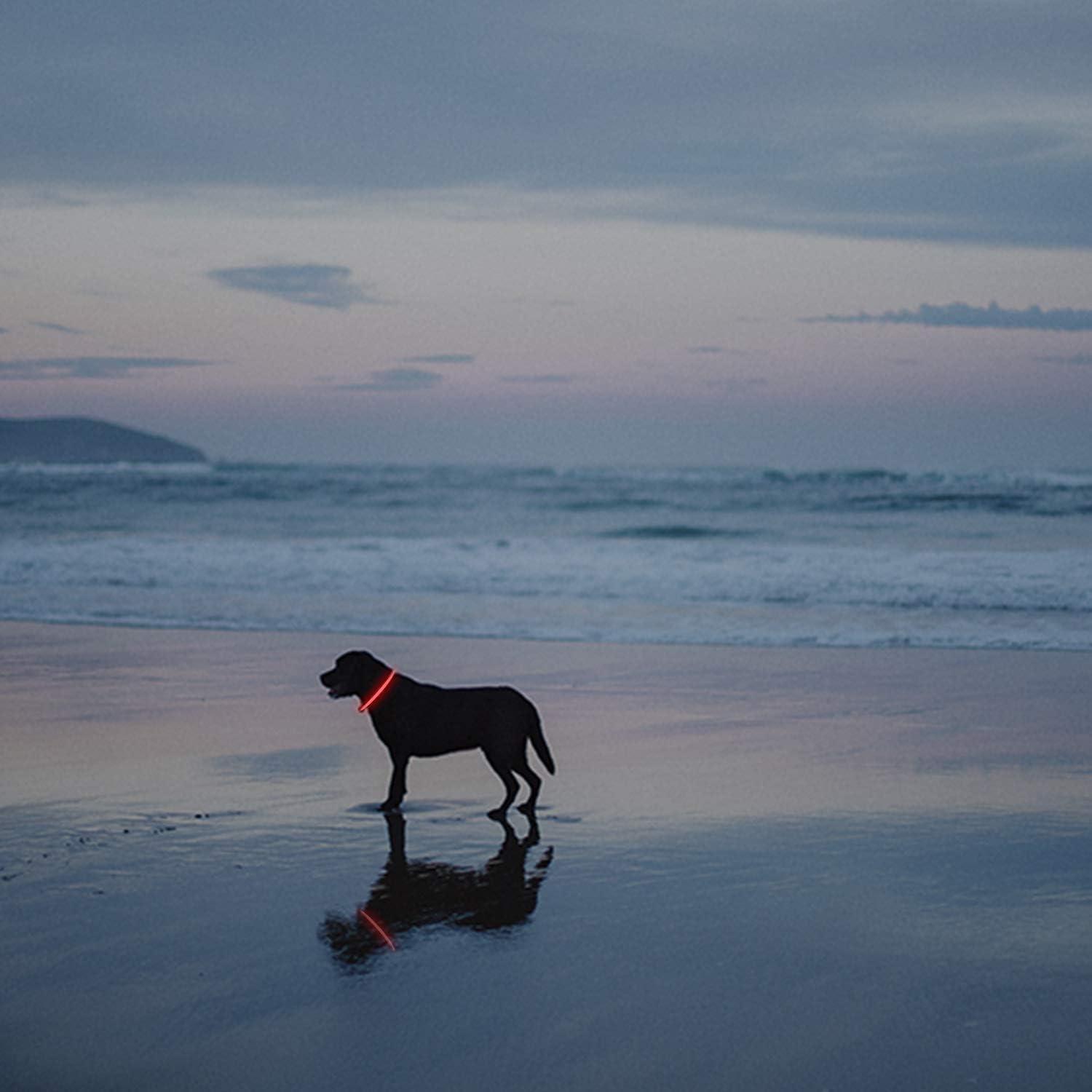 Collar LED para Perros Novkin Rojo y Rosa 2 Paquetes