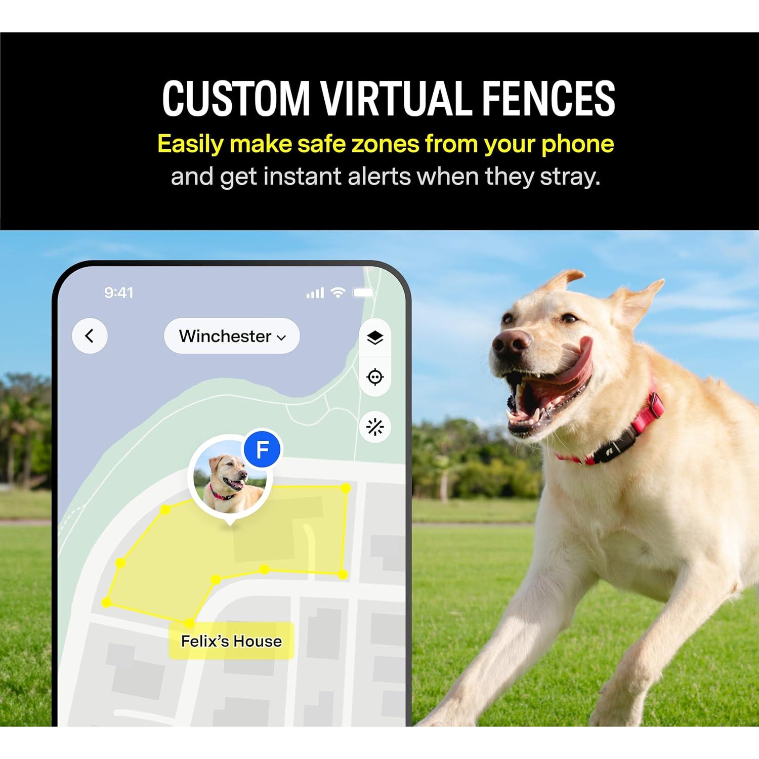 Collar GPS Inteligente Fi Series 3 para Perros Grande Azul