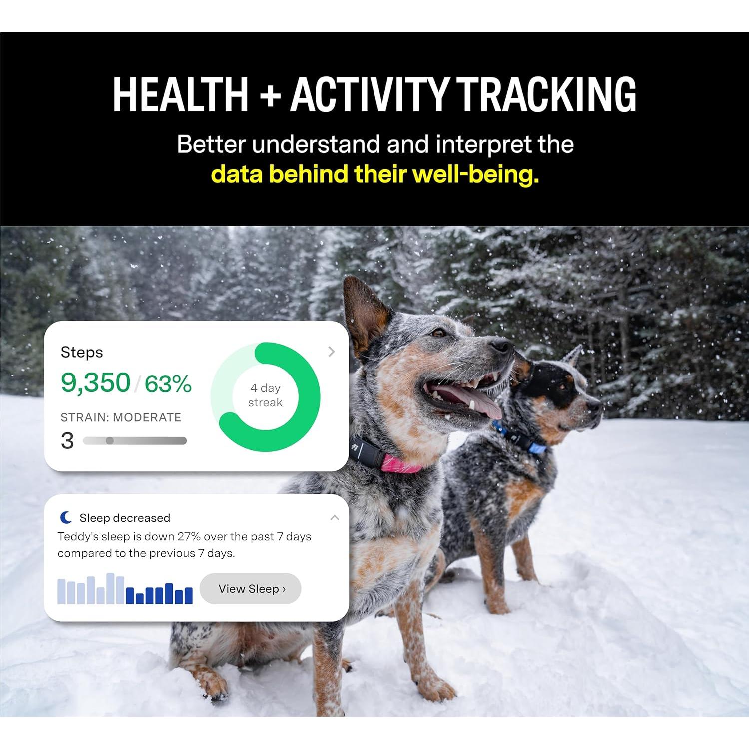 Collar GPS Inteligente Fi Series 3 para Perros Grande Azul