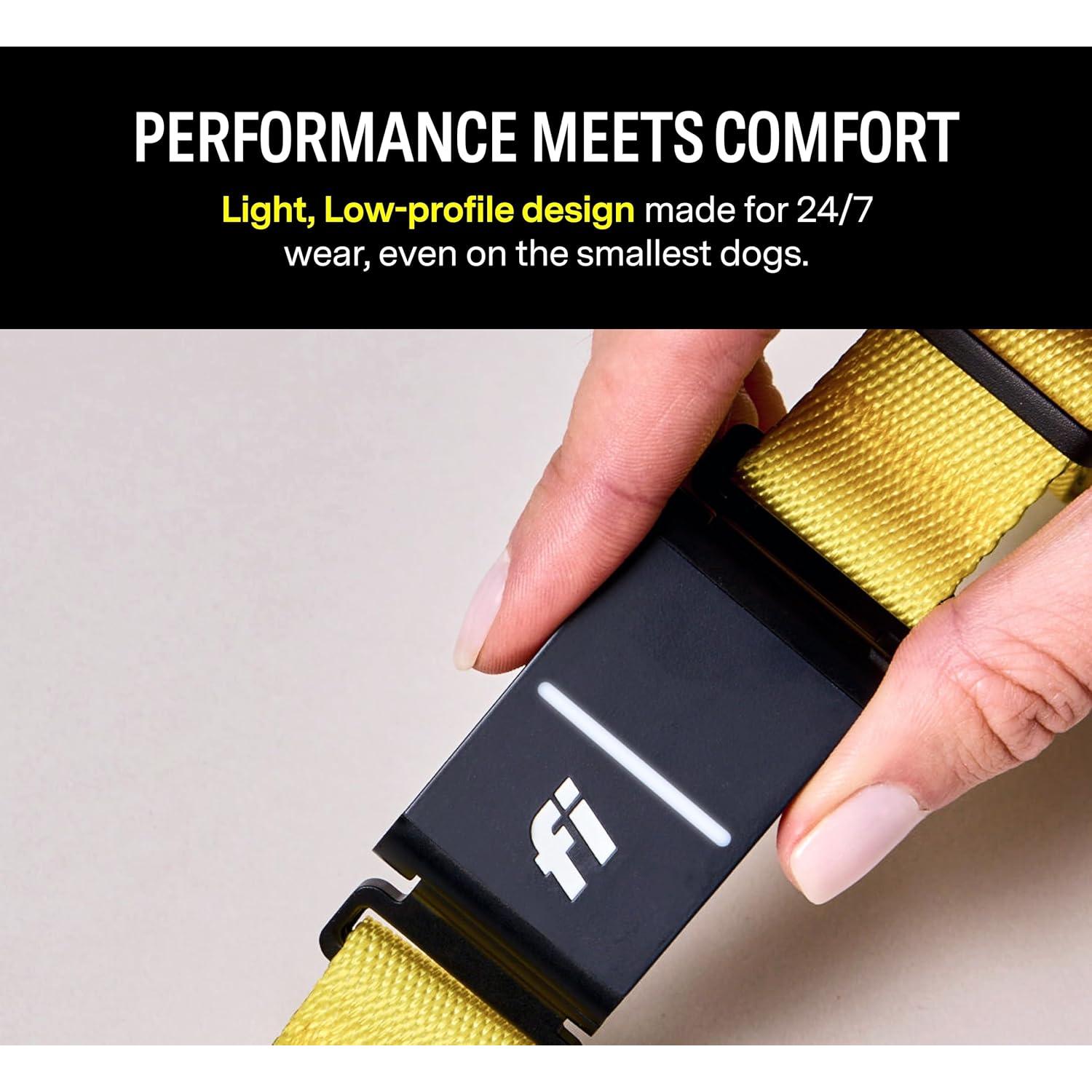 Collar GPS Inteligente Fi Series 3 para Perros Grande Azul