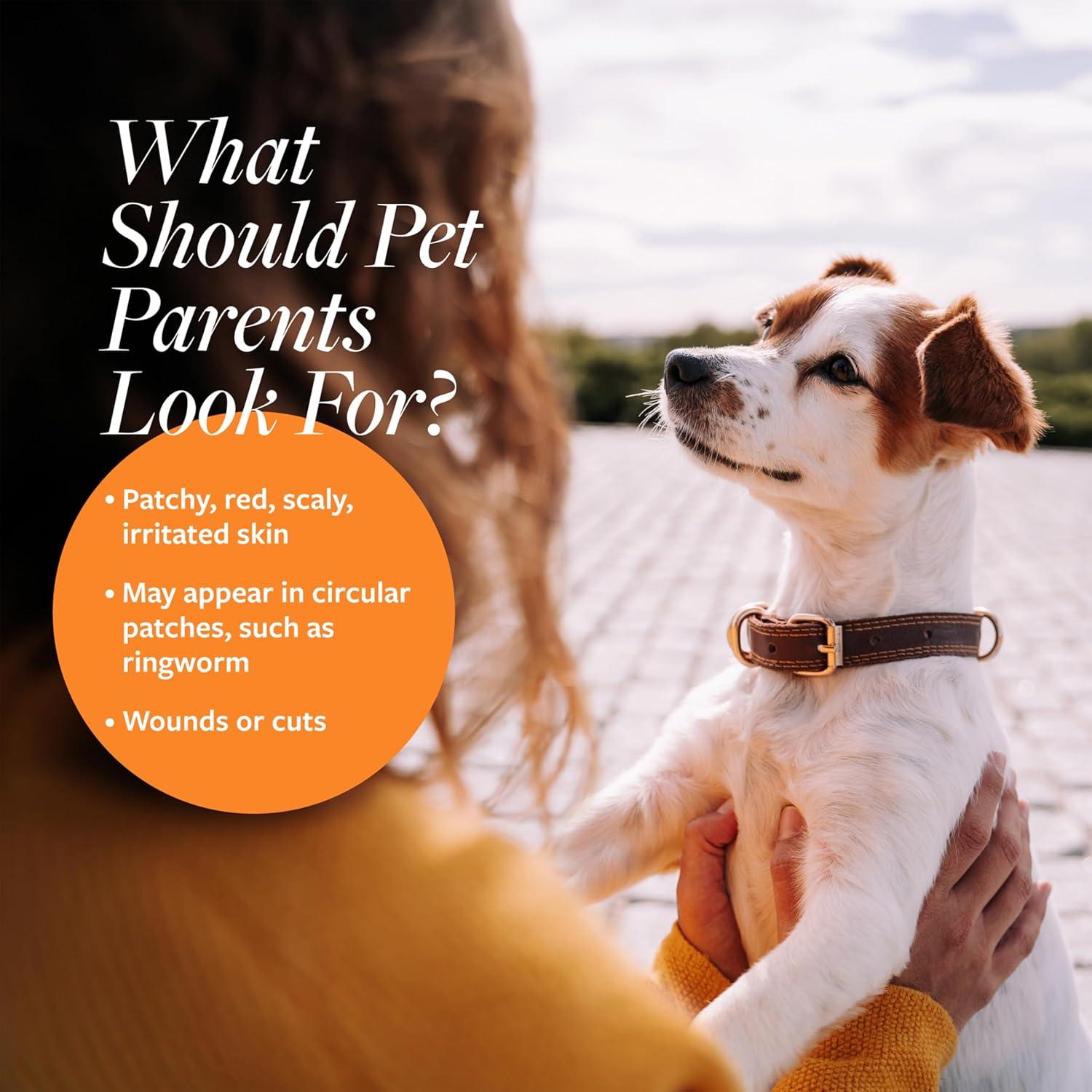 Spray Antiséptico y Antifúngico Veterinary Formula 236 ml