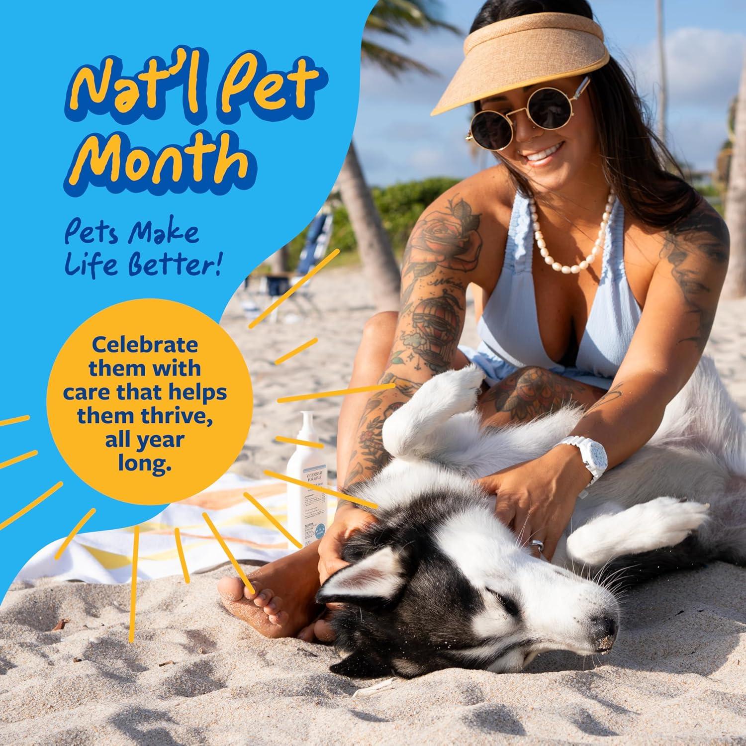 Spray Antiséptico y Antifúngico Veterinary Formula 236 ml