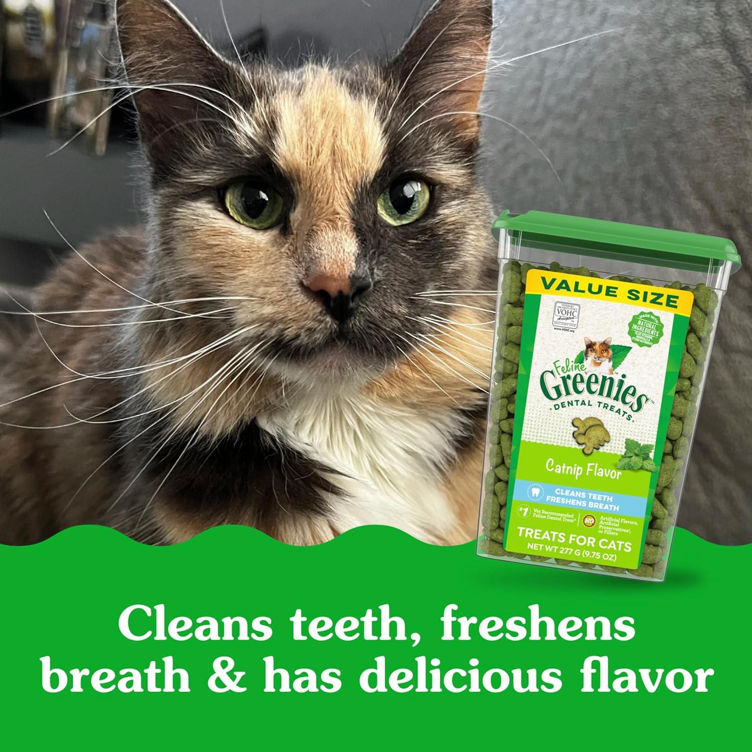 Greenies Feline Treats Dentales Catnip 280g - Gato Adulto