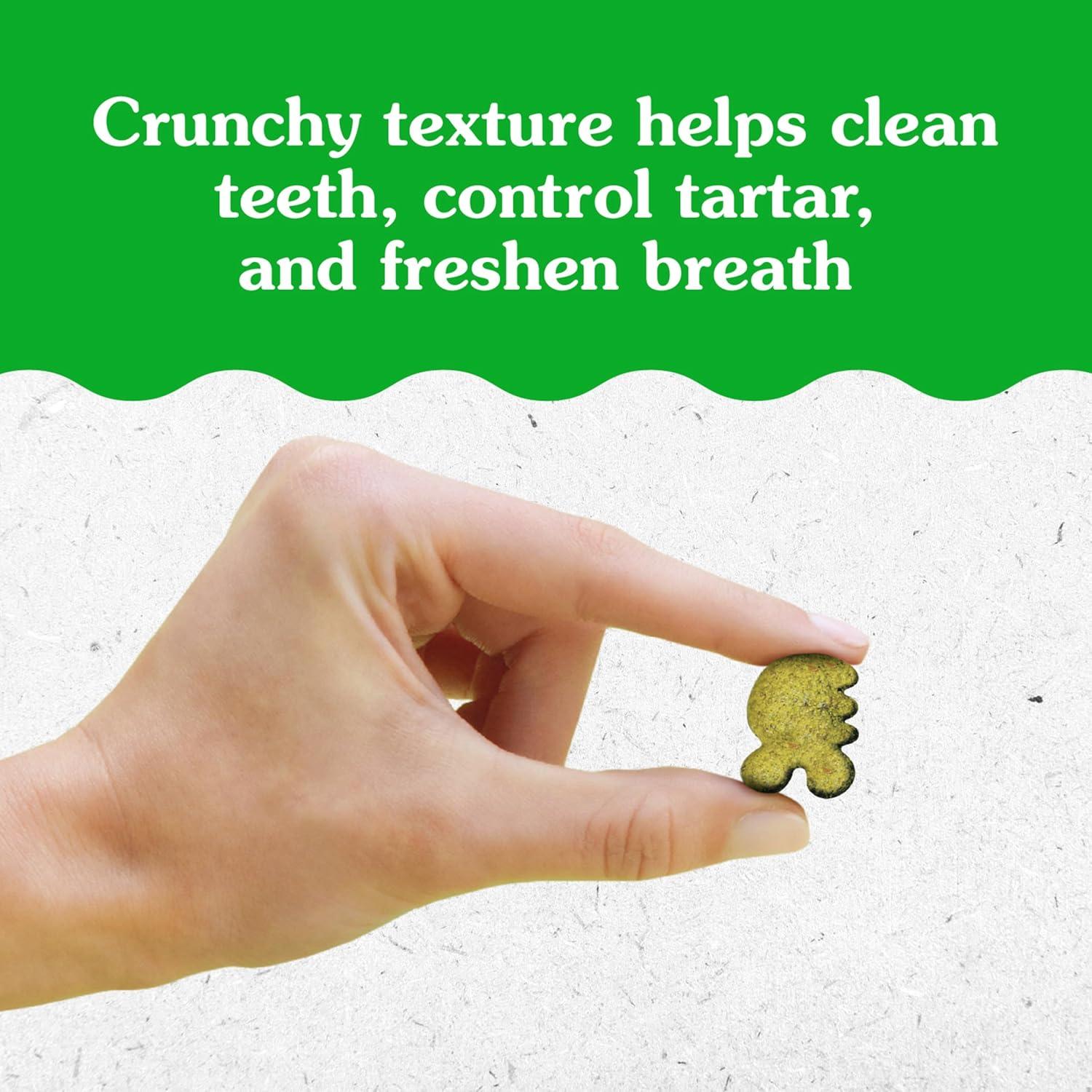 Greenies Feline Treats Dentales Catnip 280g - Gato Adulto