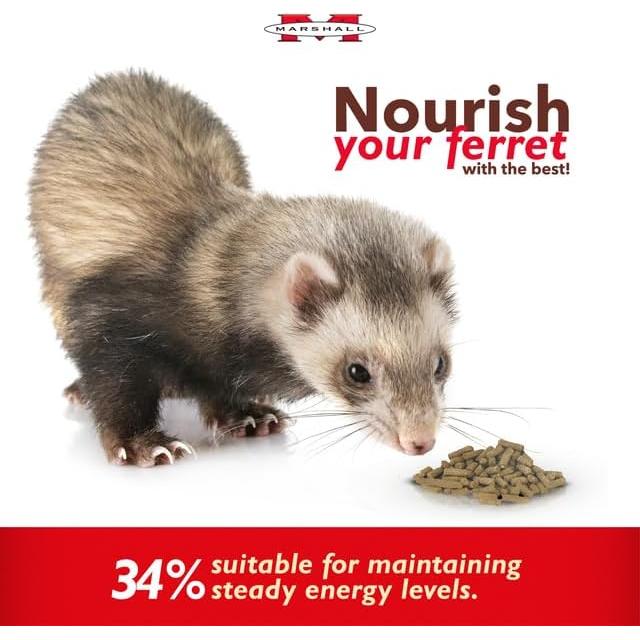 Alimento Seco para Hurones Marshall 1,81 kg Nutrición Balanceada